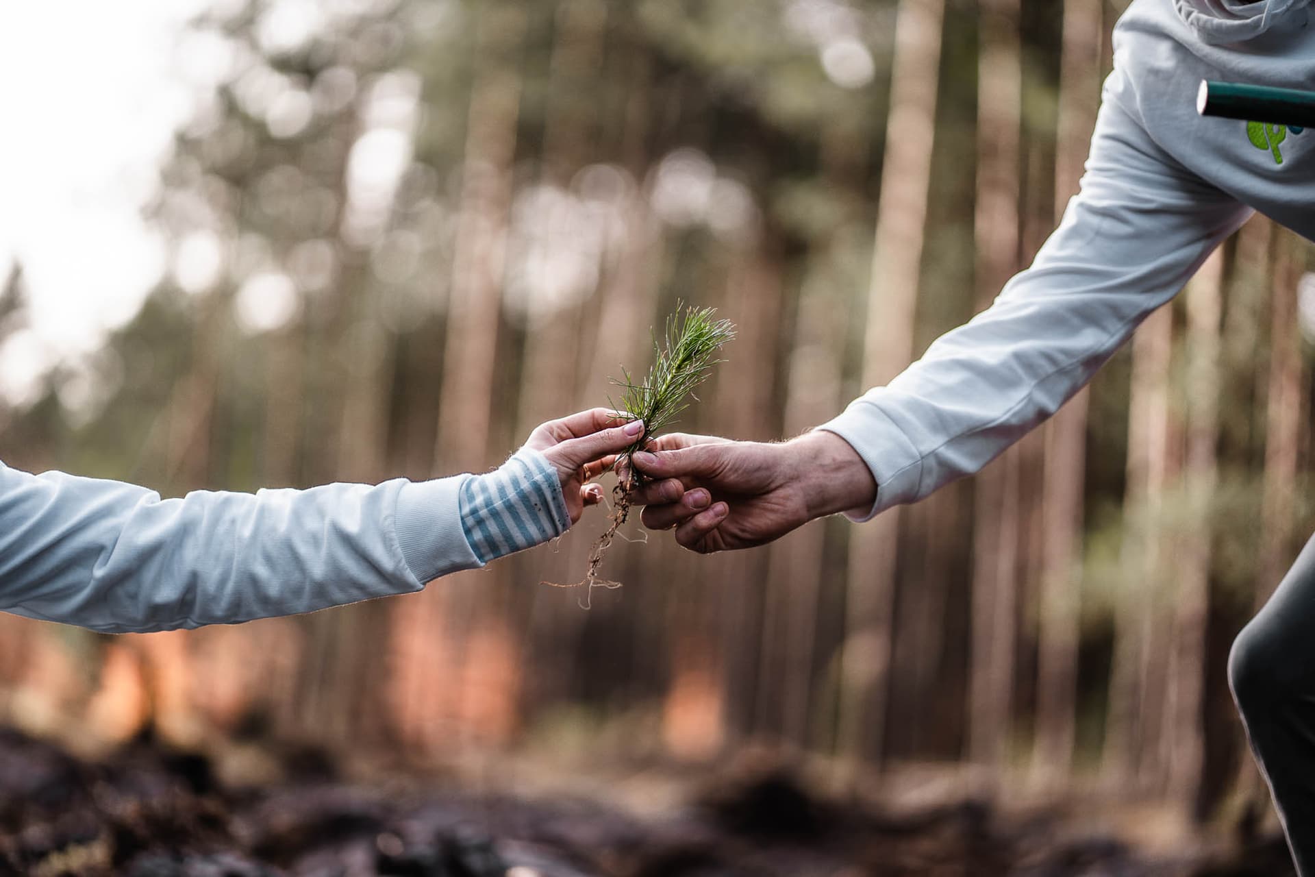 Posadziliśmy już ponad 2000 drzew w imieniu naszych klientów.