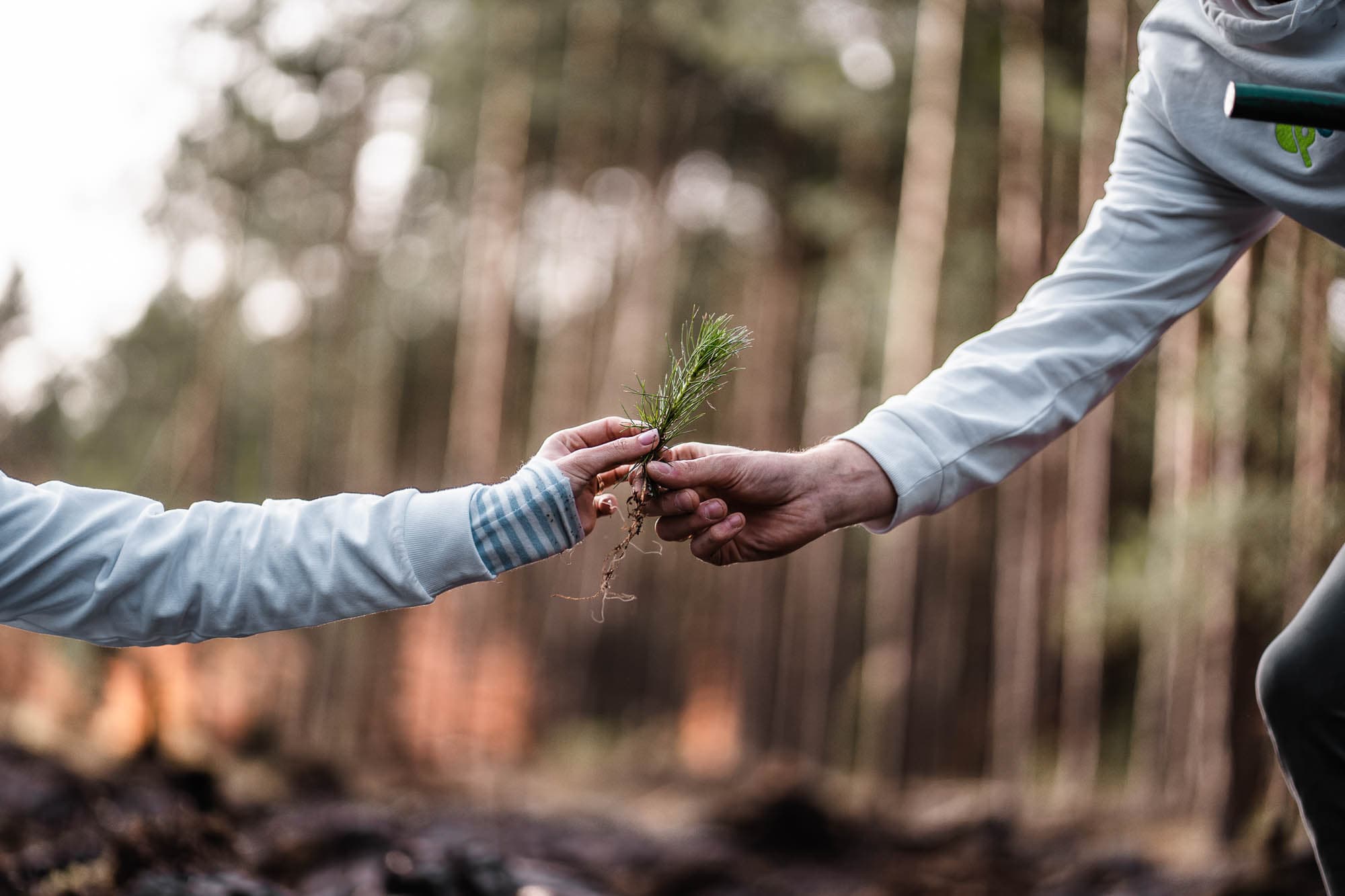 Posadziliśmy już ponad 2000 drzew w imieniu naszych klientów.
